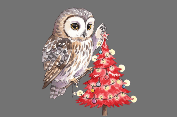 Watercolor Owl Decorating Red Christmas Illustrations Review